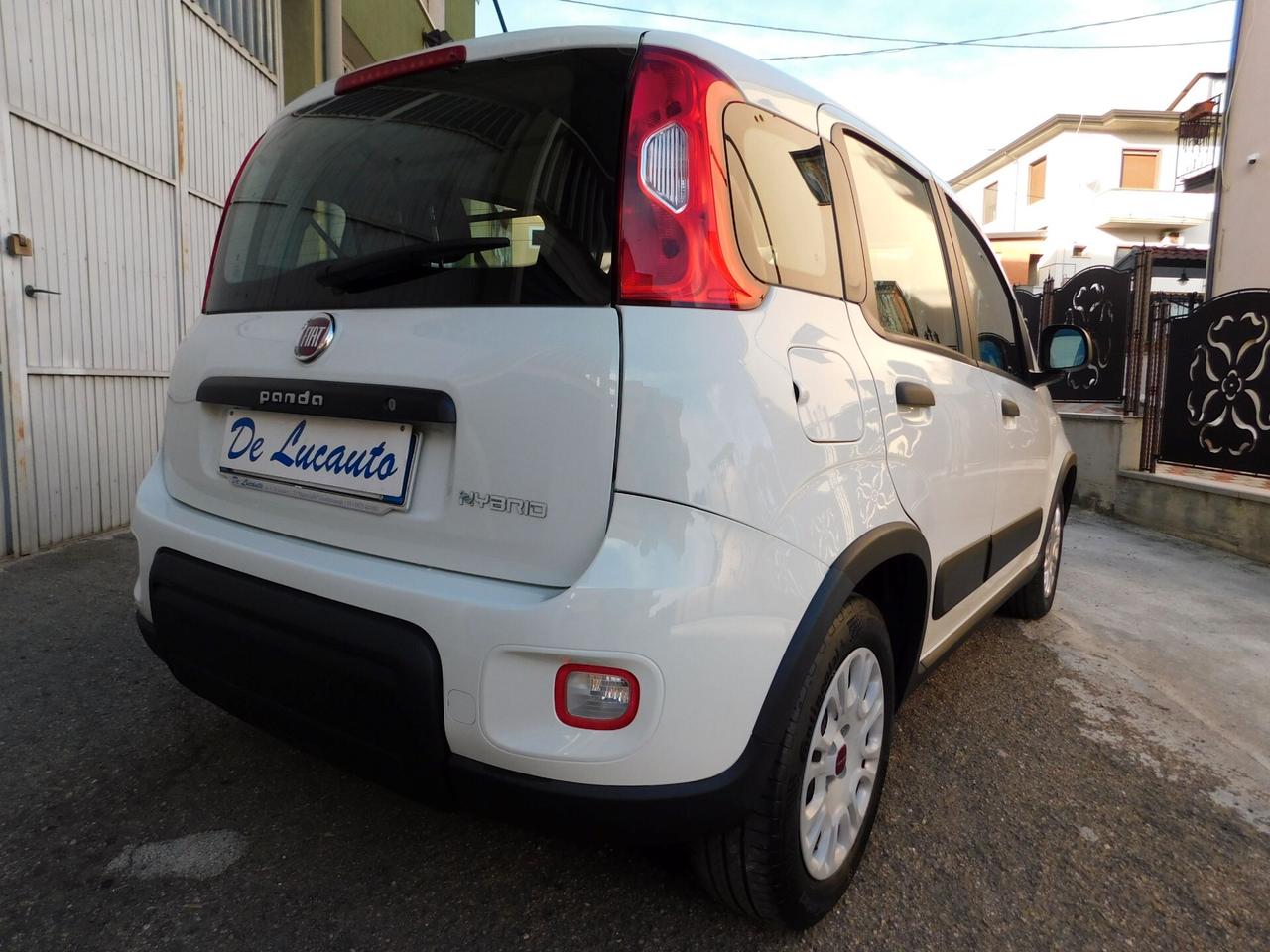 PANDA 1.0 Hybrid AUTOCARRO 4posti N1