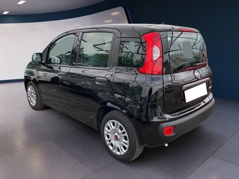FIAT Panda III 2021 1.0 firefly hybrid s&s 70cv