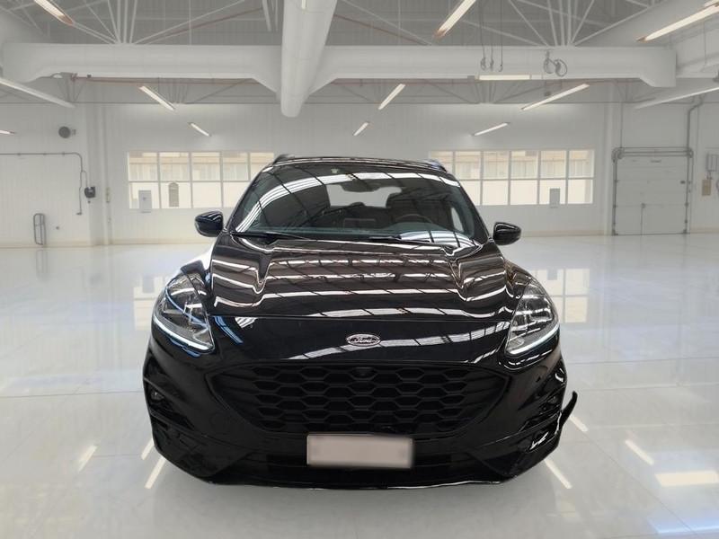 FORD KUGA 1.5 EcoBlue 120CV 2WD ST-Line Auto