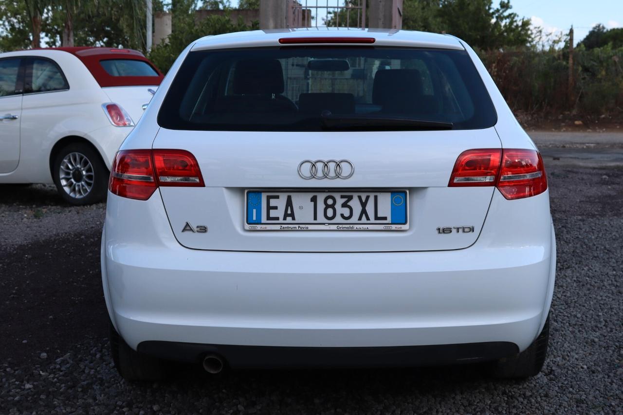 Audi A3 SPB 1.6 TDI 90CV CR F.AP AMBITION