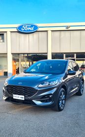 Ford Kuga 2.5 Plug In Hybrid 225 CV CVT 2WD ST-Line