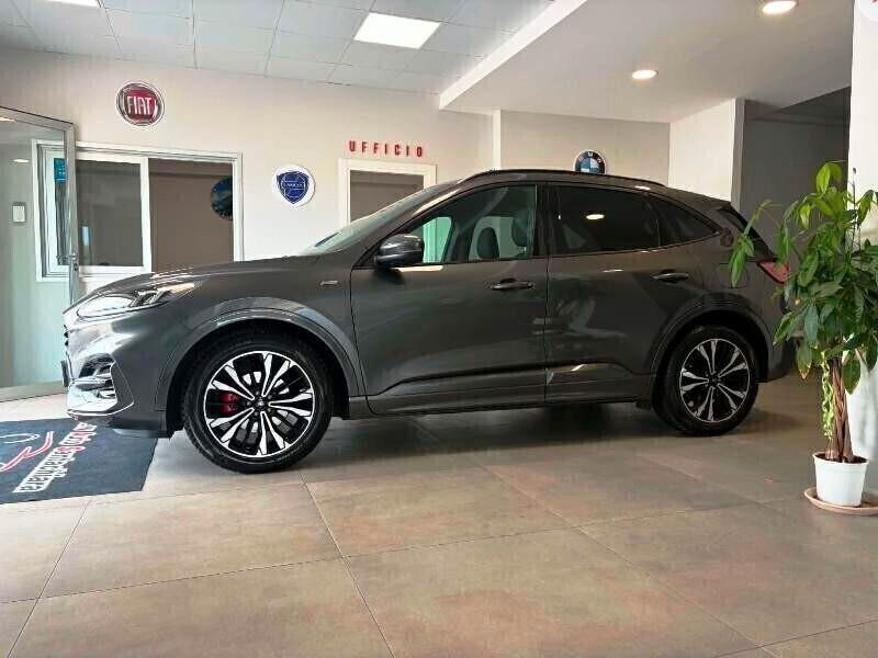 Ford Kuga 1.5 EcoBlue 120 CV aut. ST-Line