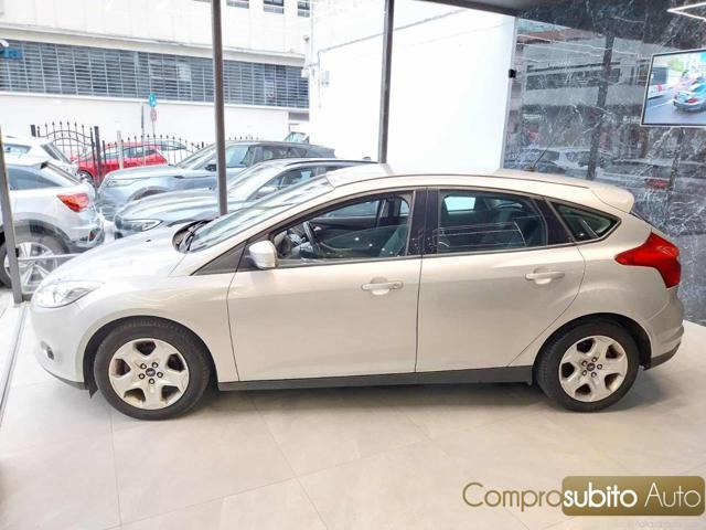FORD Focus 1.6 TDCi 115 CV Business