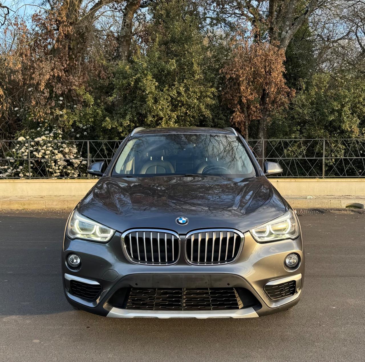 Bmw X1 xDrive20d xLine Anno 2017