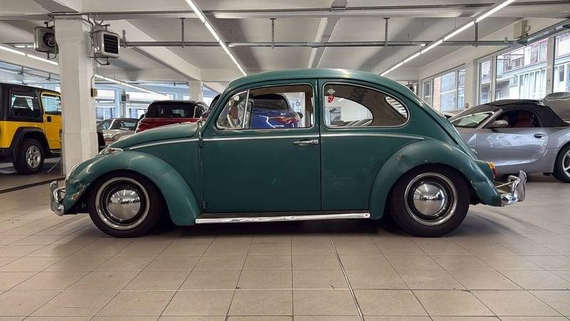 Volkswagen Maggiolino