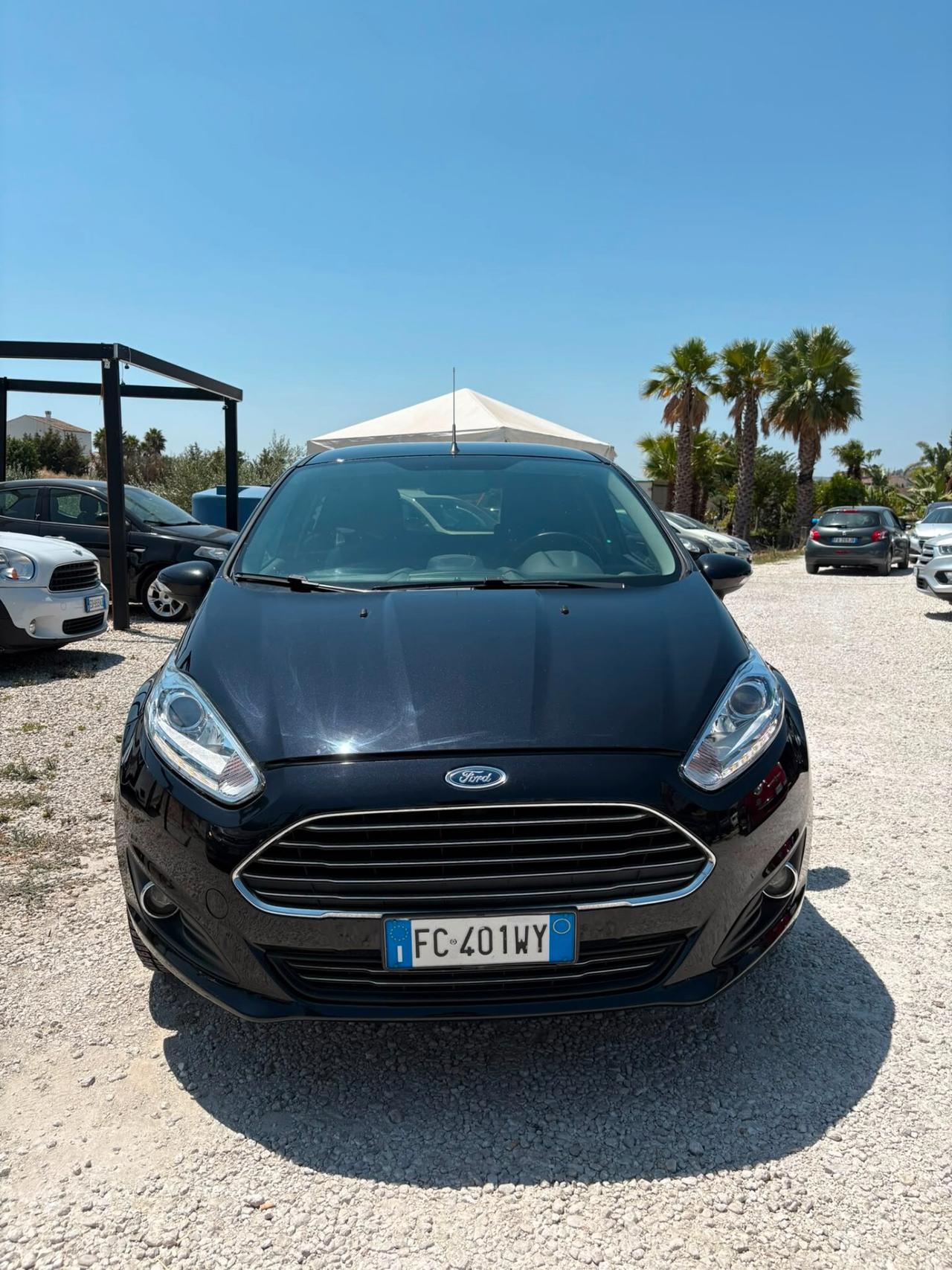 Ford Fiesta 1.5 TDCi 75CV 5 porte Black & White Edition