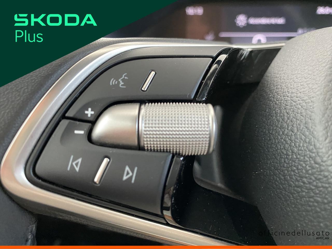 Skoda Fabia 1.0 mpi evo 80cv selection