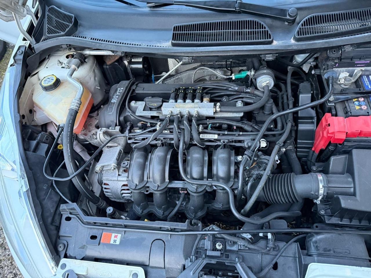 Ford Fiesta 1.4 97 CV KW 81 5 porte Titanium