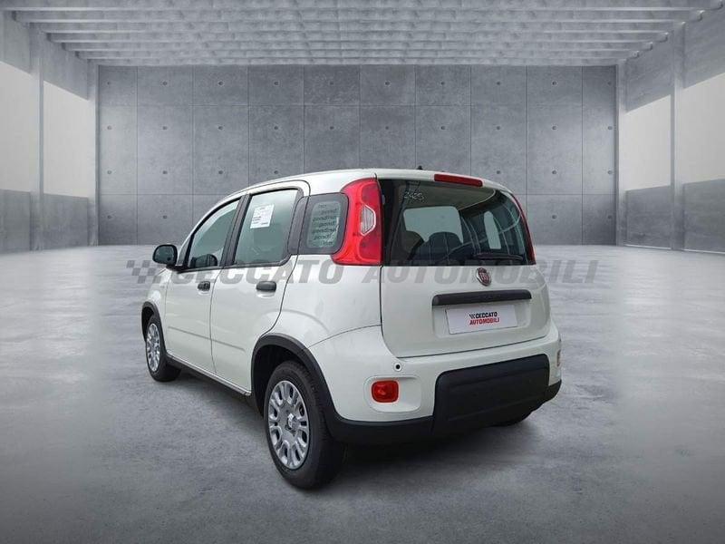 FIAT Panda Panda 1.0 70cv Hybrid Panda