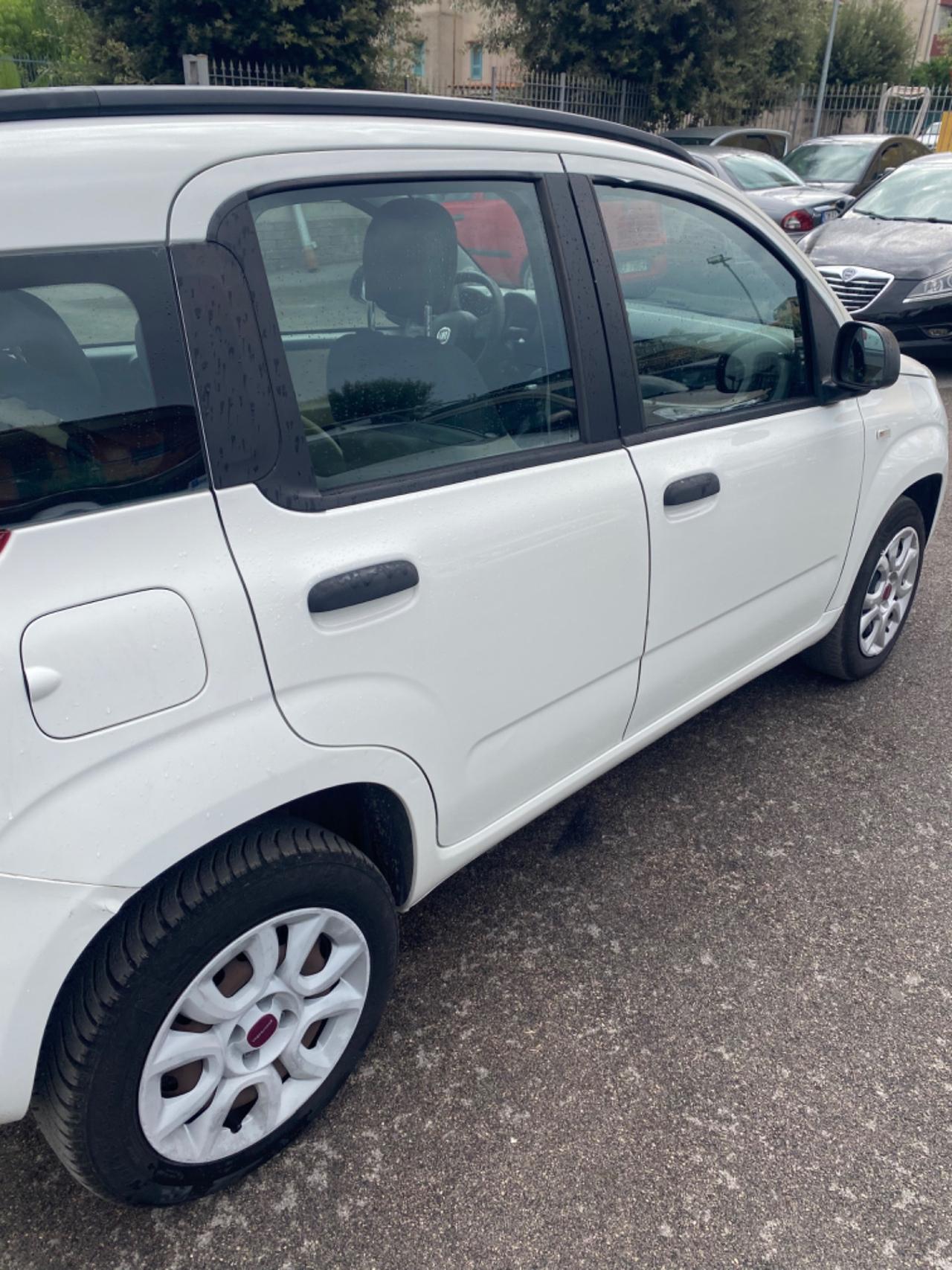 Fiat Panda Natural Power Fine 2013 TAGLIANDATA