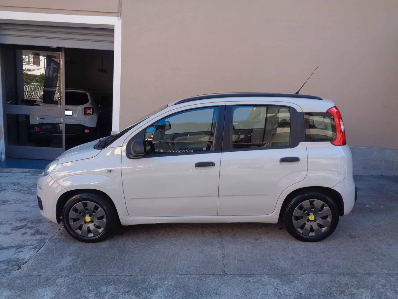 Fiat Panda 1.2 EasyPower Easy (Finanziabile)