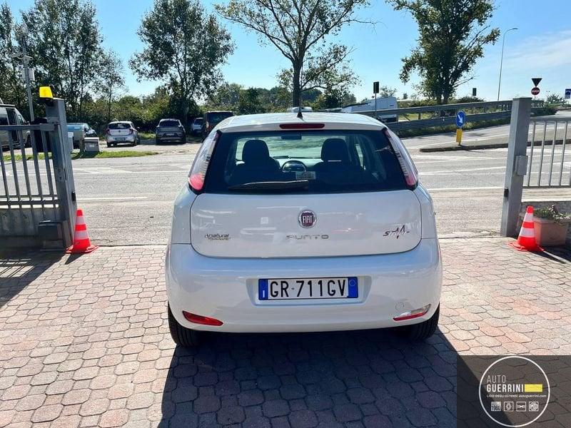 FIAT Punto Punto 1.4 8V 5 porte Natural Power Street