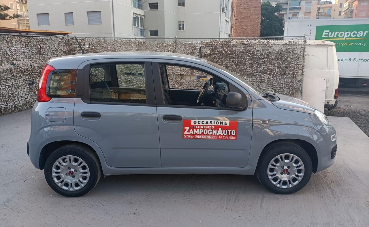 Fiat Panda 1.0 FireFly S&S Hybrid 2021 ZAMPOGNAUTO CT