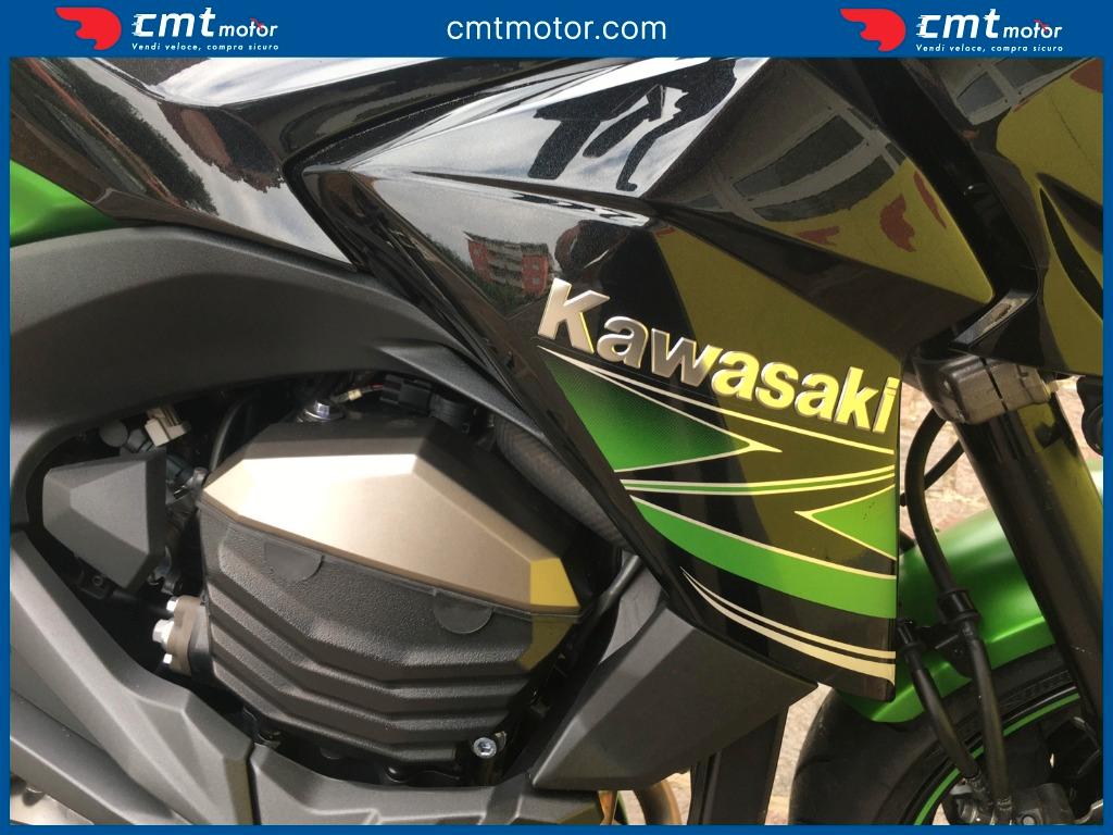 Kawasaki Z 800 - 2015