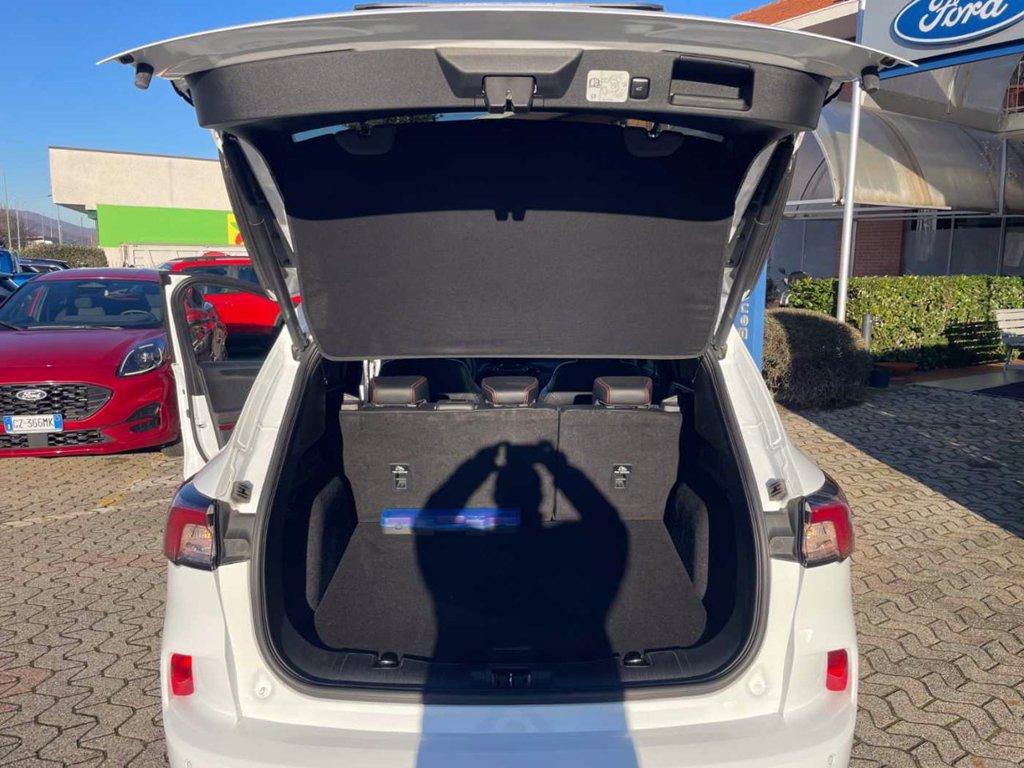 FORD Kuga 1.5 EcoBoost 150 CV 2WD ST-Line X del 2020