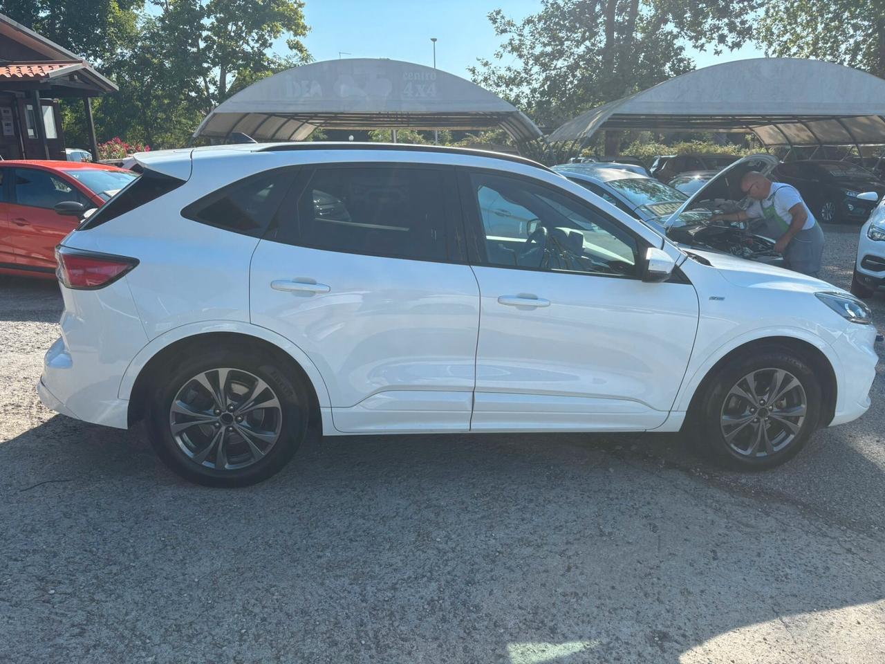 Ford Kuga 1.5 EcoBlue 120 CV aut. 2WD ST-Line