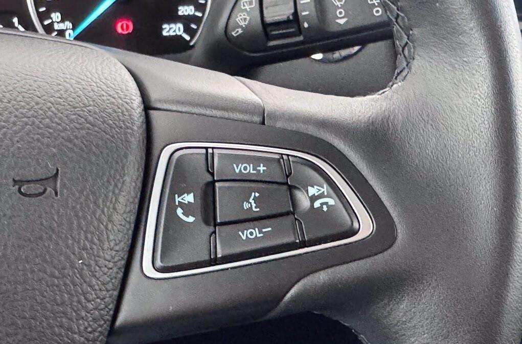 Ford EcoSport 1.0 EcoBoost 125 CV ActiveBenzina / GPL