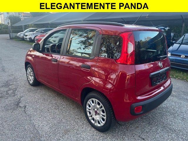 FIAT Panda 1.2 Red Collection