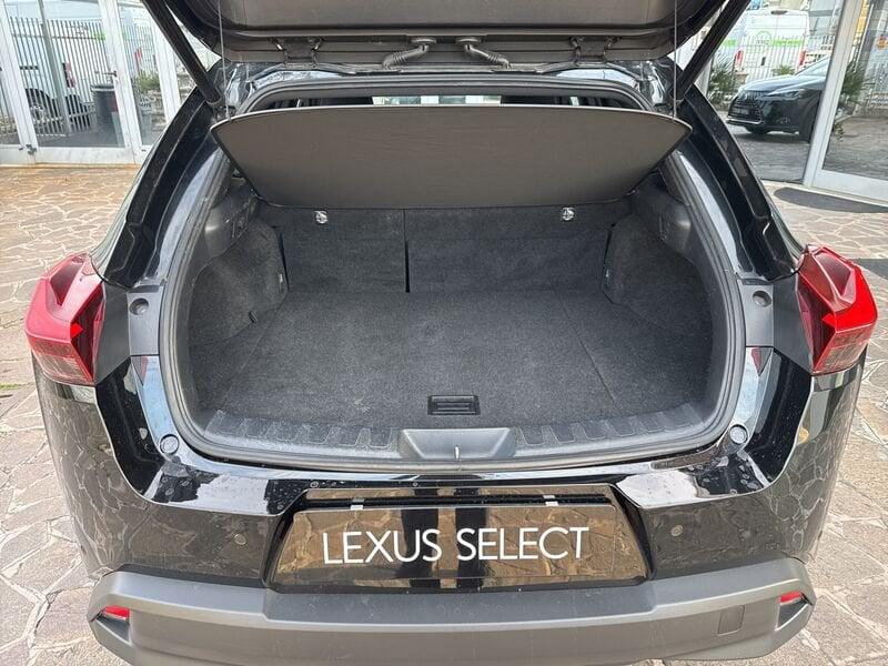 Lexus UX LEXUS UX 250 Hybrid 4WD Midnight