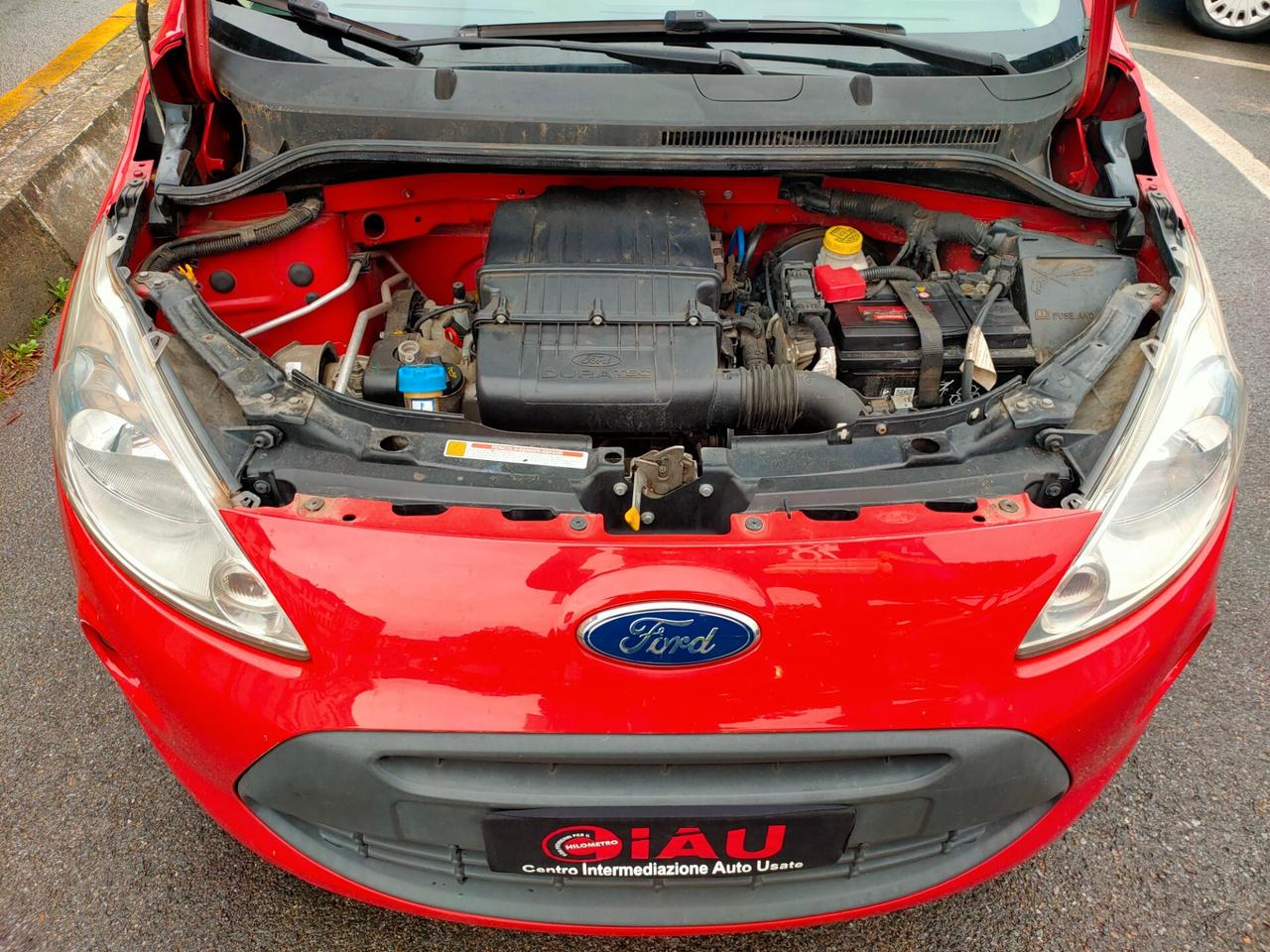 Ford Ka 1.2 8V 69CV Neopatentati