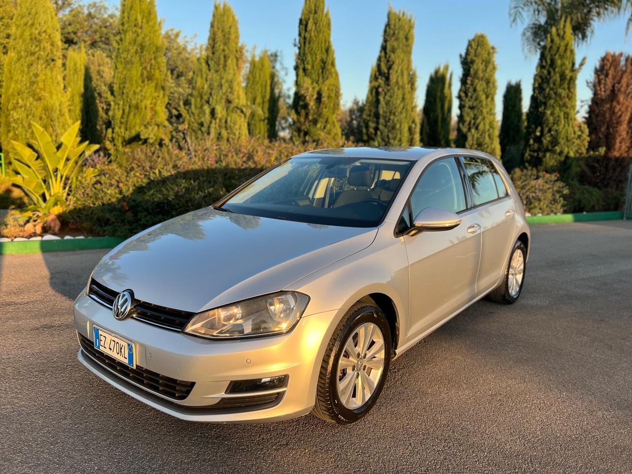 Volkswagen Golf 7 Business 1.6 BlueTDI 110 CV 5p. Highline
