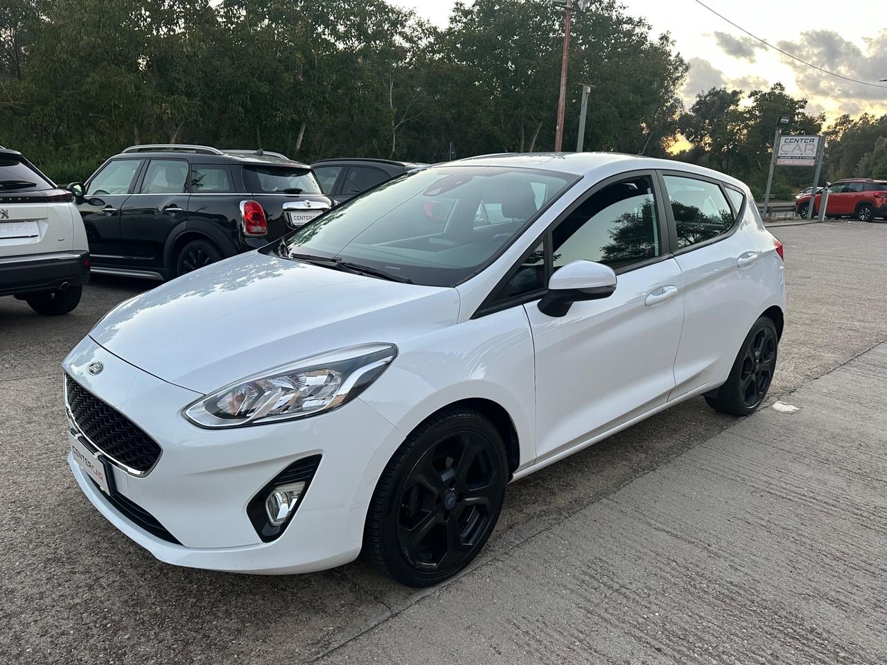 Ford Fiesta 1.5 EcoBlue 5 porte Connect