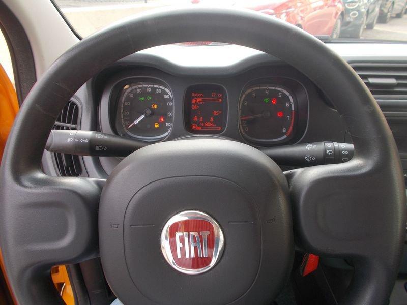 FIAT Panda 1.0 FireFly 70cv S&S Hybrid 338.7575187 MARCO MASSARI