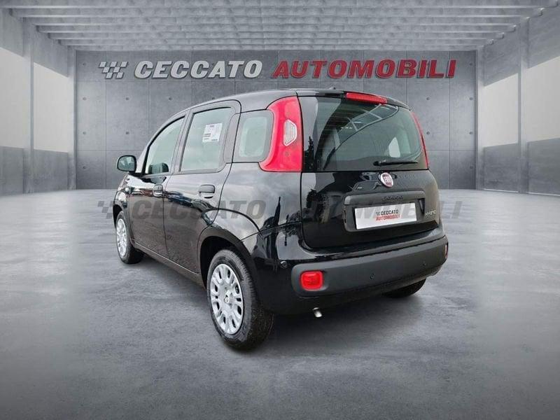 FIAT Panda Panda 1.0 firefly hybrid s&s 70cv