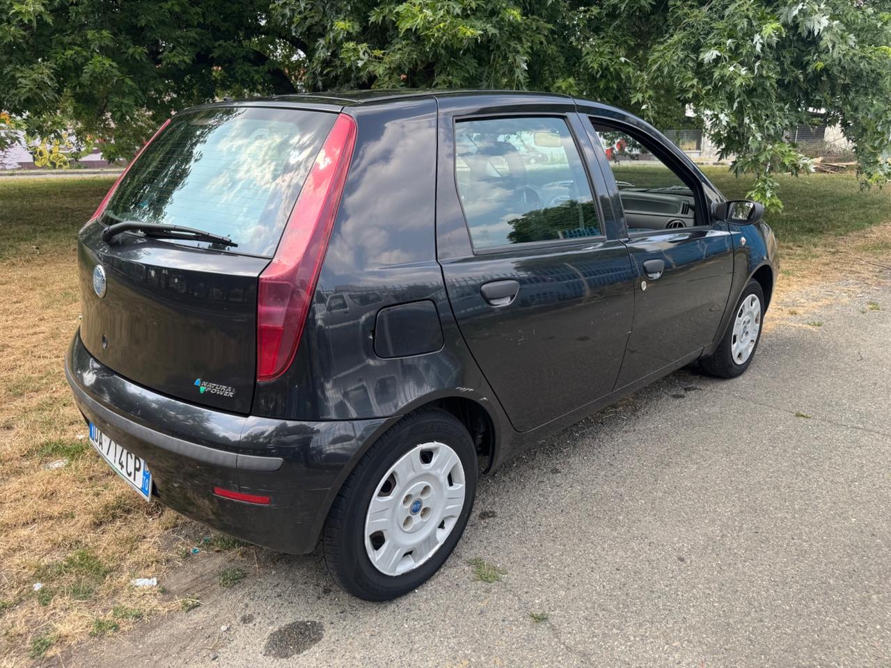 Fiat Punto 1.2 Benz 5 porte Active 2006