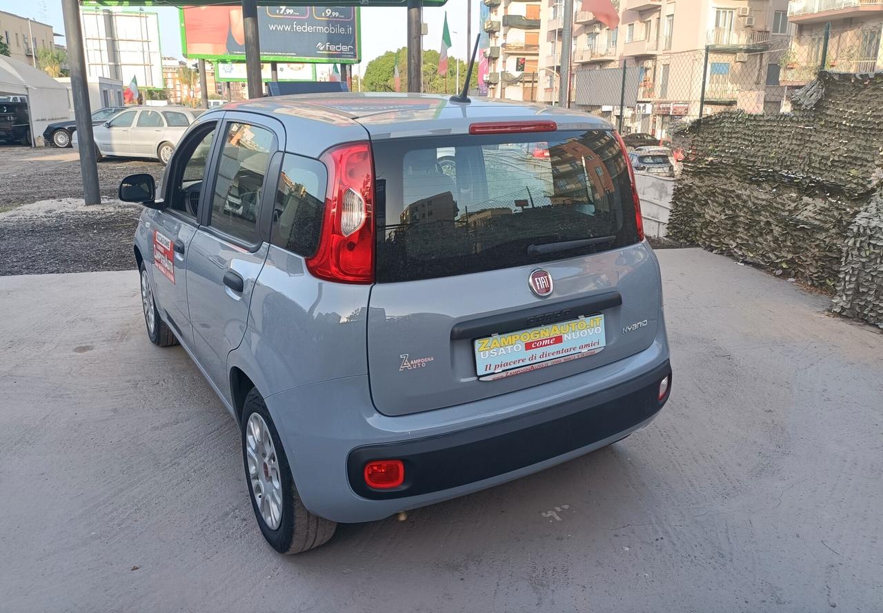 Fiat Panda 1.0 FireFly S&S Hybrid 2021 ZAMPOGNAUTO CT