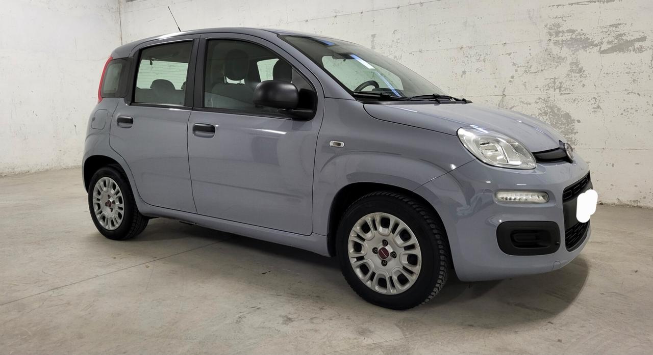 Fiat Panda 2021 Neopatentati