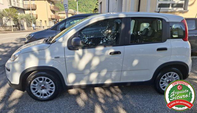 FIAT Panda 1.0 FireFly S&S Hybrid UNICO PROPRIETARIO