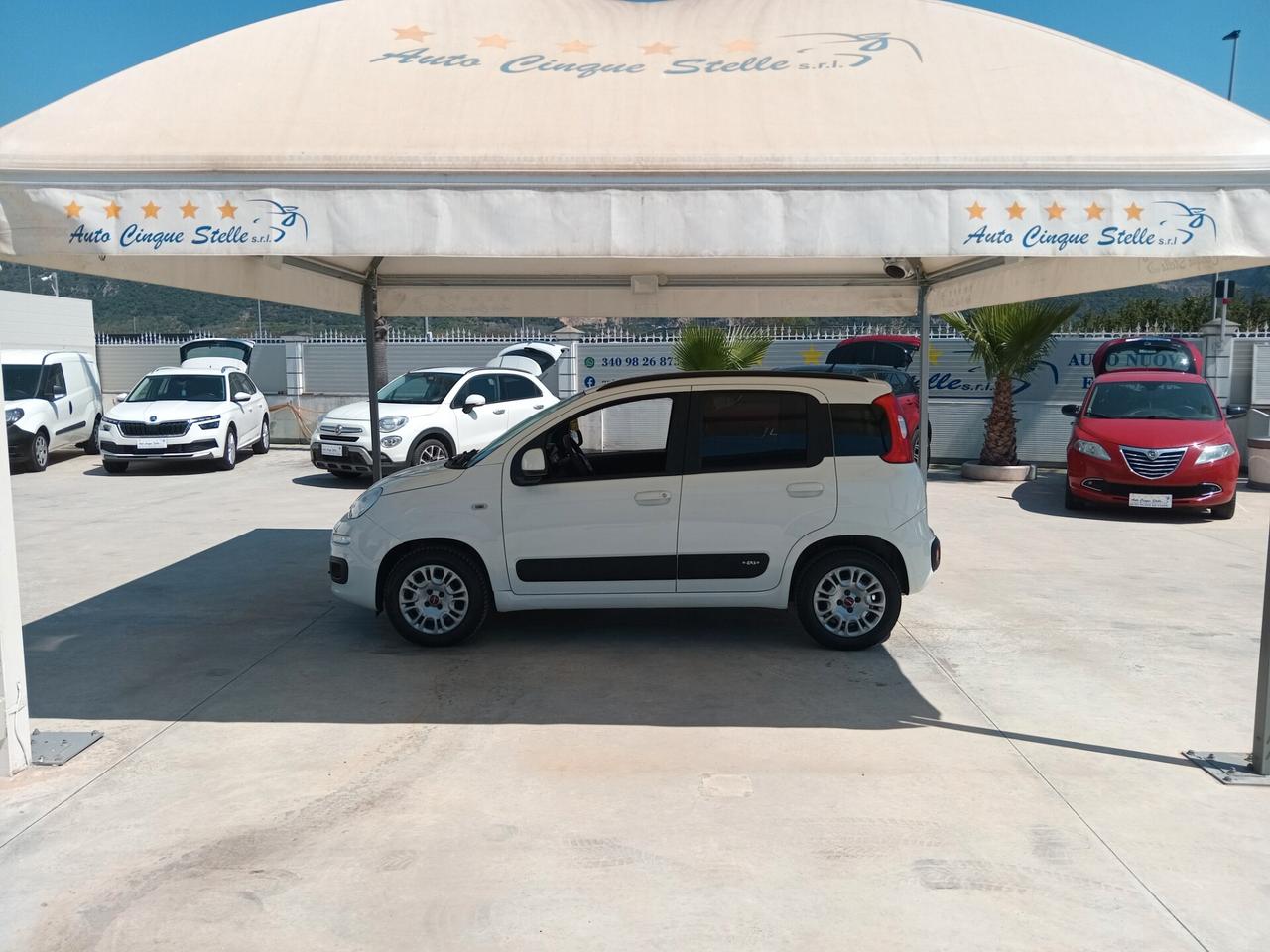 Fiat Panda 1.2 BENZ C.V 70 VETTURA COME NUOVA QUAL PROVA