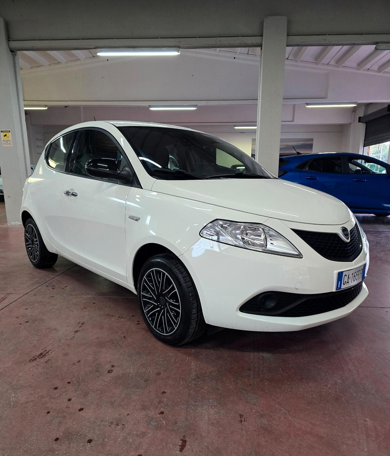 Lancia Ypsilon 1.2 69 CV 5 porte S&S Platinum