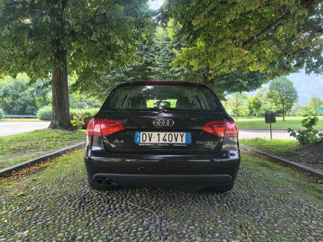 AUDI A4 Avant 2.0 TDI 170CV F.AP. quattro
