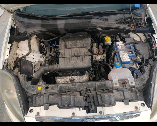 FIAT Punto Evo 5p 1.2 MyLife s&s