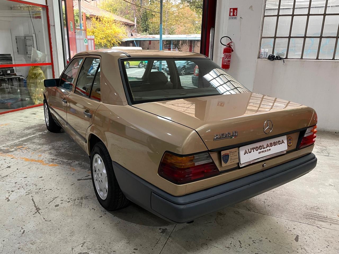 Mercedes-Benz E 250 D ASI TARGA ORO!!!