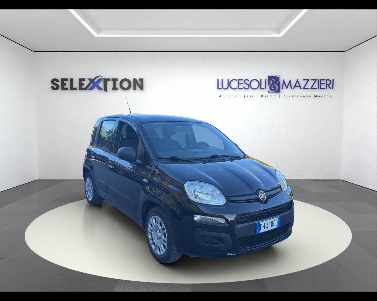 FIAT PANDA - Panda 1.2 Easy