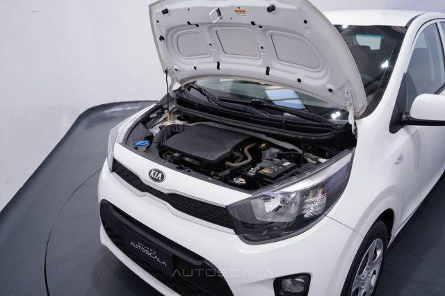 KIA Picanto 1.0 12V 5 porte Active