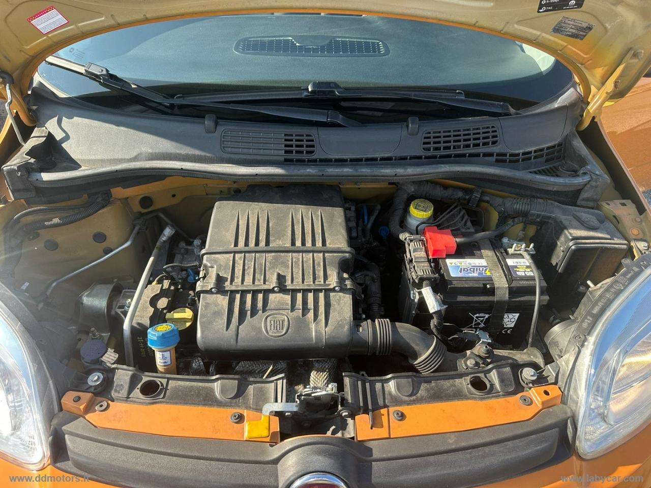 FIAT Panda 1.2 Pop *NEOPATENTATI