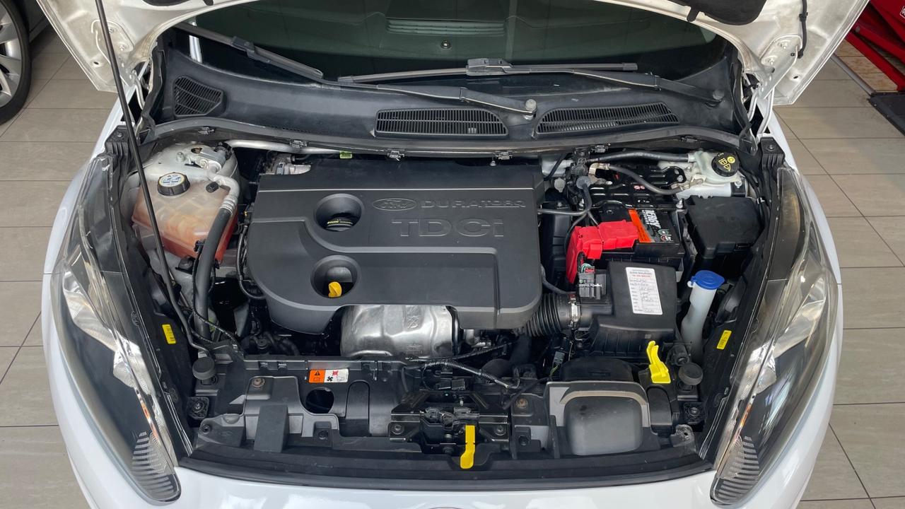 Ford Fiesta 1.5 TDCi 75CV 5 porte Business
