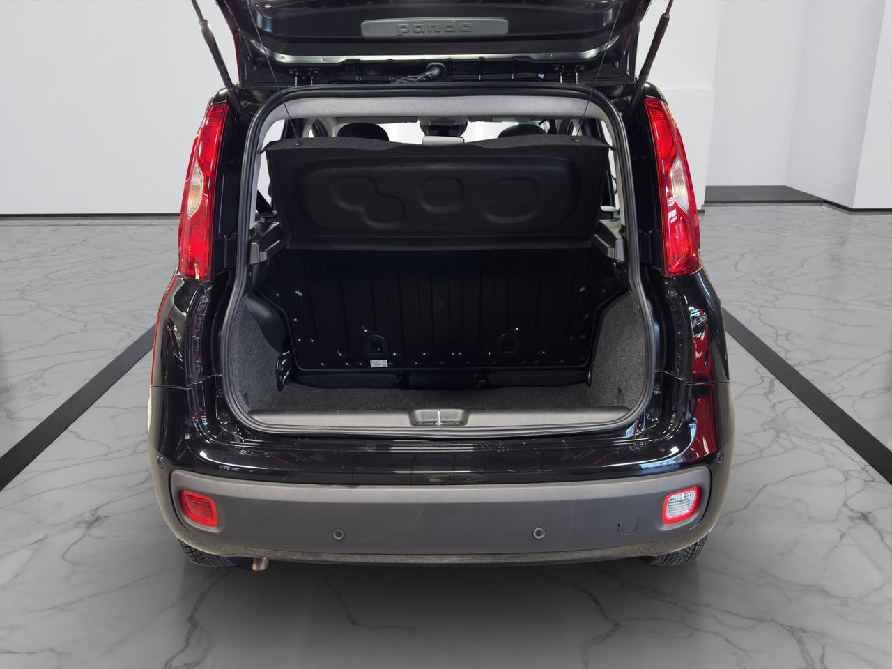 Fiat Pandina 1.0 firefly hybrid Icon s&s 70cv 5p.ti
