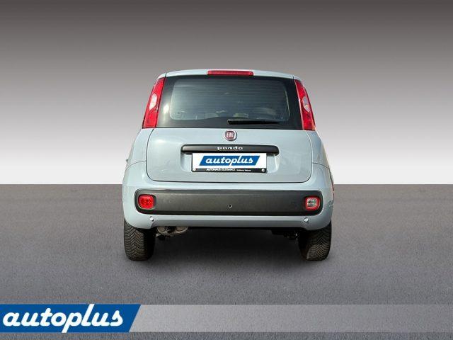 FIAT Panda 1,2 8V Easy