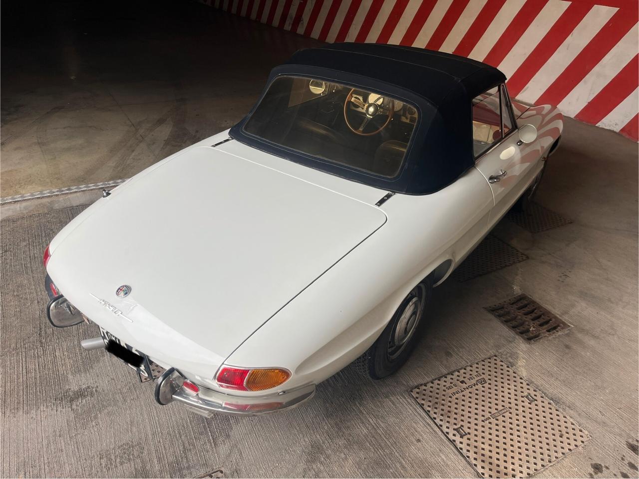 Alfa Romeo Spider 1750 Osso di seppia