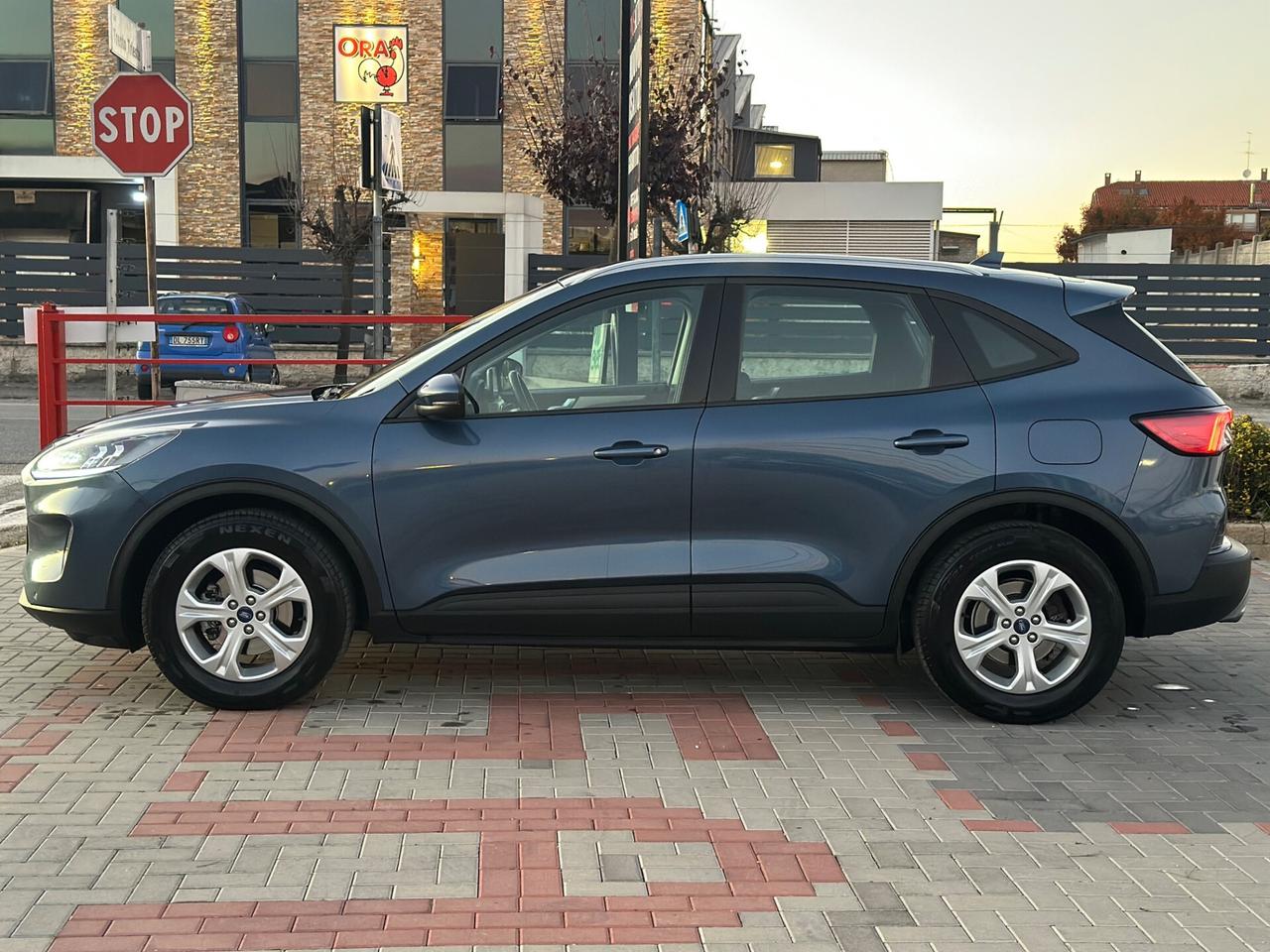 Ford Kuga 1.5 EcoBlue 120 CV aut. IVA ESPOSTA