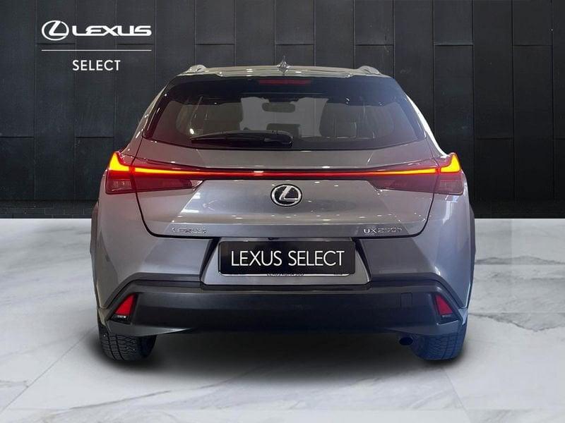 Lexus UX UX 250h 2.0 Business 2wd cvt my20