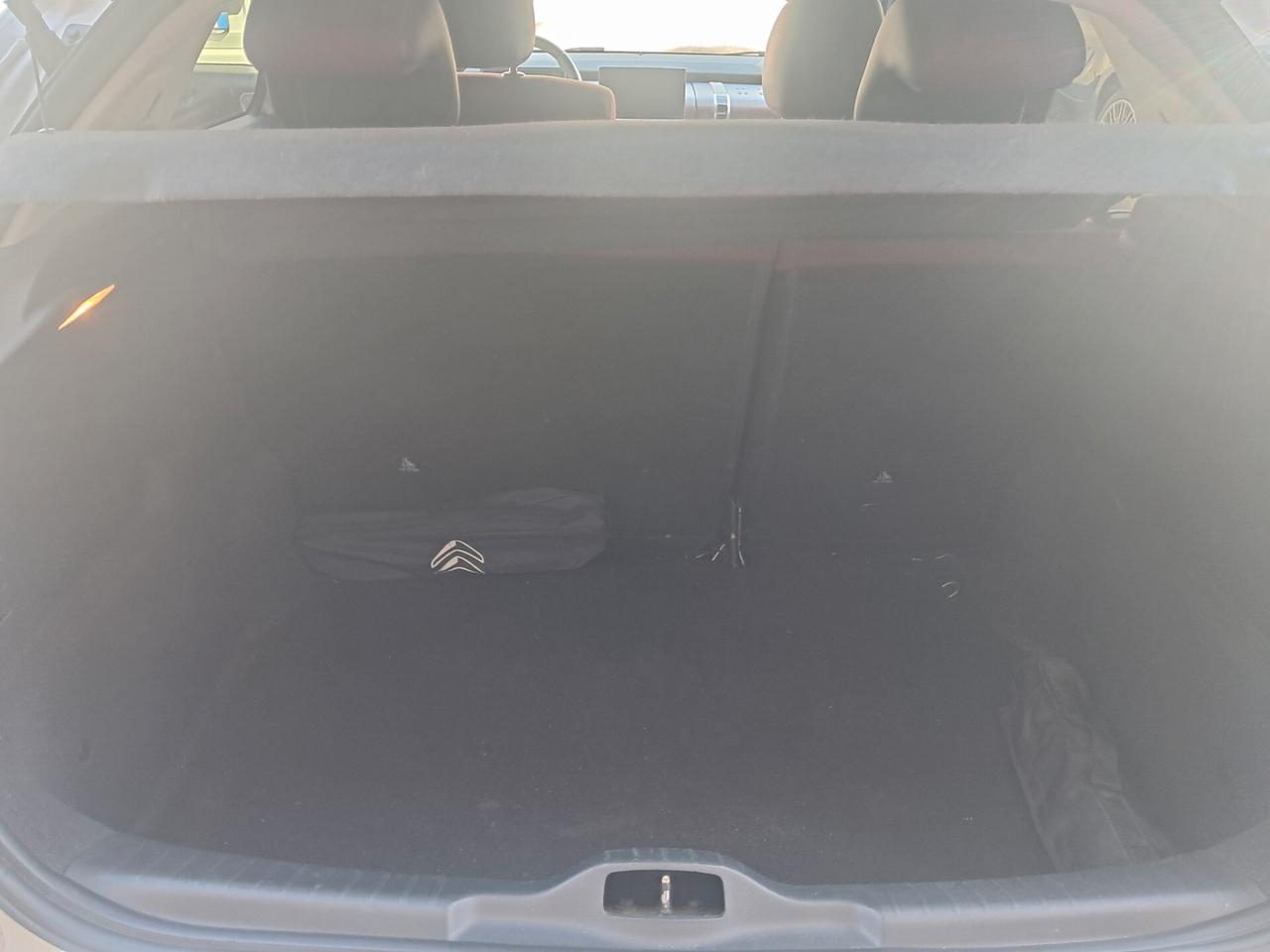 Citroen C4 Cactus BlueHDi 102 cv Shine