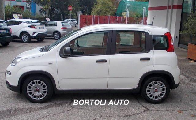 FIAT Panda 1.0 HYBRID 7.000 KM FIREFLY CITY LIFE