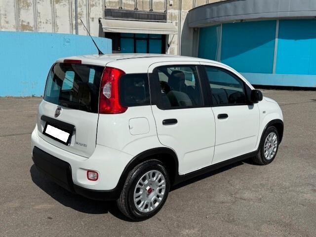 Fiat Panda 1.0 Hybrid neopatentati