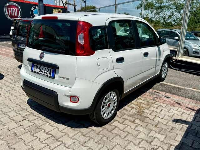 Fiat Panda Panda 1.0 firefly hybrid PRONTA CONSEGNA